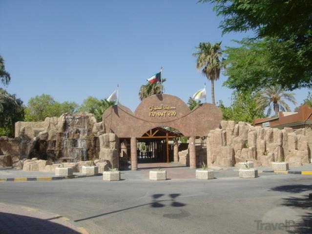 Kuwait Zoo - ITAP World
